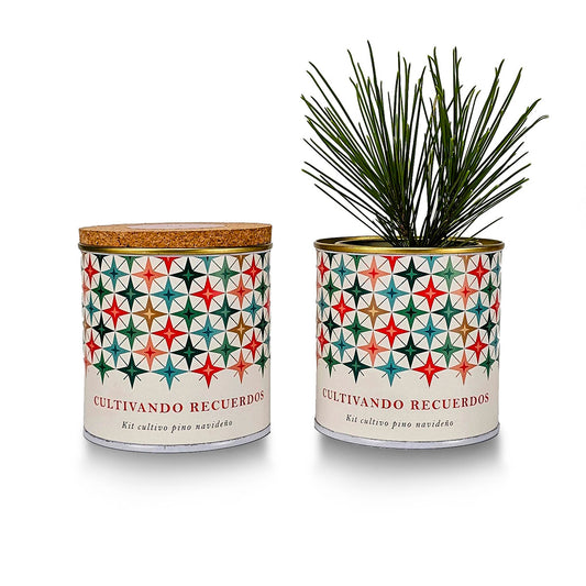 Kit de cultivo de pinheiros de Natal Starry Landscape, Garden Pocket