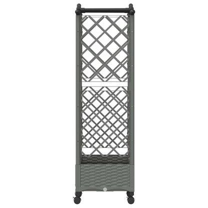 Cama Elevada Con Trellis Y Techo Gris Claro 124 X 40 X 129 Cm_3