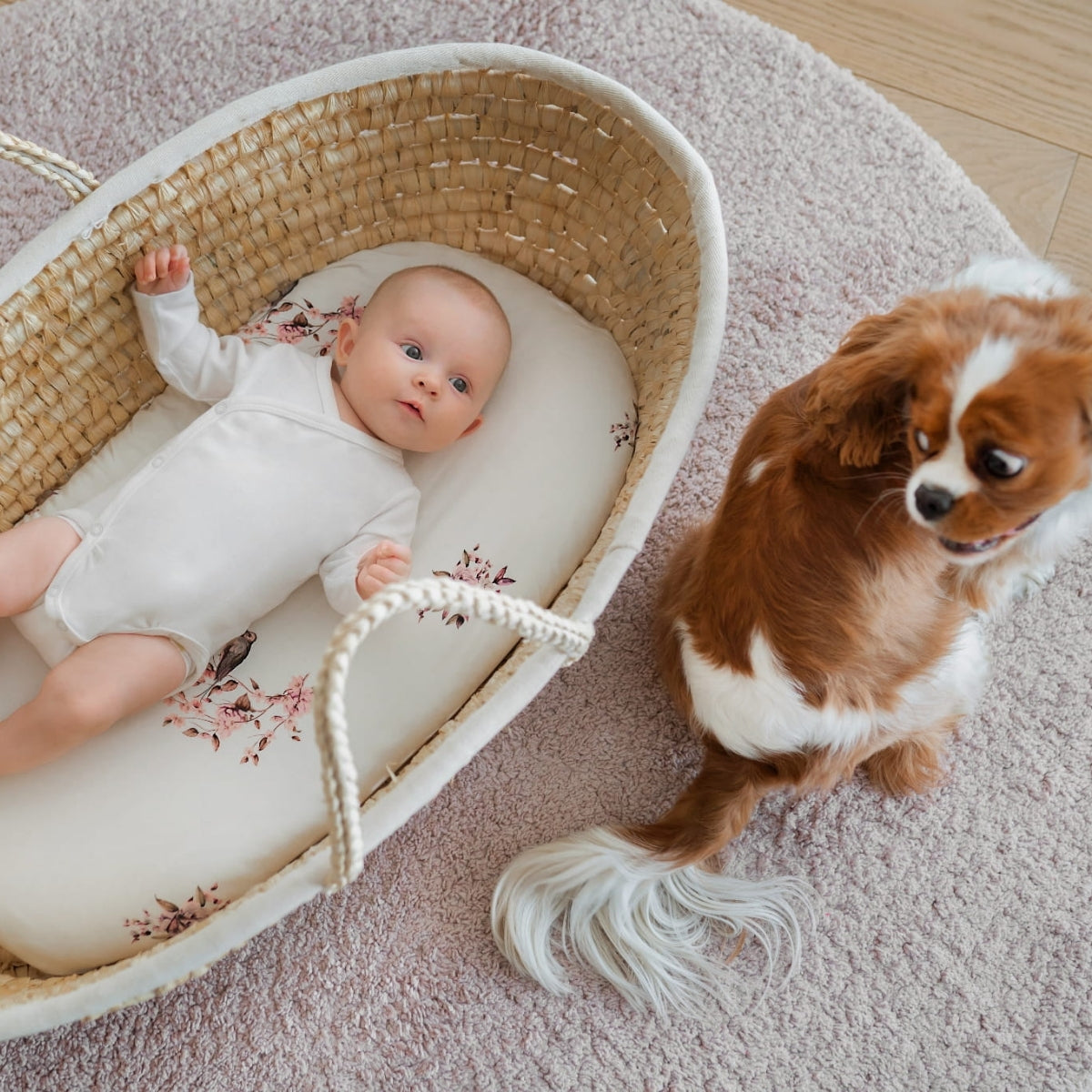 Pack 2 Bajera Capazo Algodón Melange Grey-pink_2