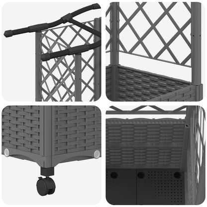 Cama Elevada Con Trellis Y Techo Gris Claro 163 X 40 X 144 Cm_5