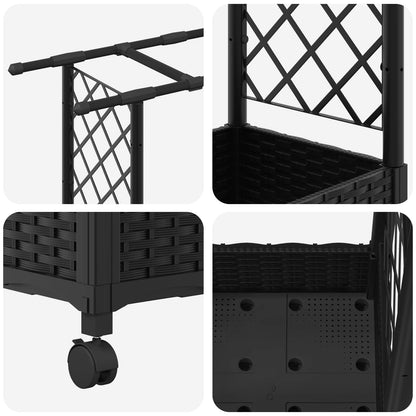 Cama Elevada Con Trellis Y Techo Negro 164 X 40 X 127 Cm Pp_5