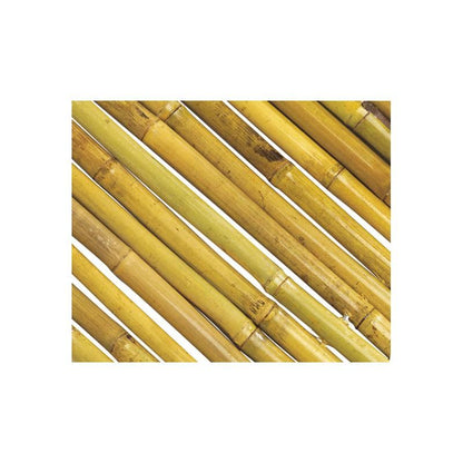 Cana de bambu envernizada natural Bambooflex Nortene 1x3 m (RENOVADA)