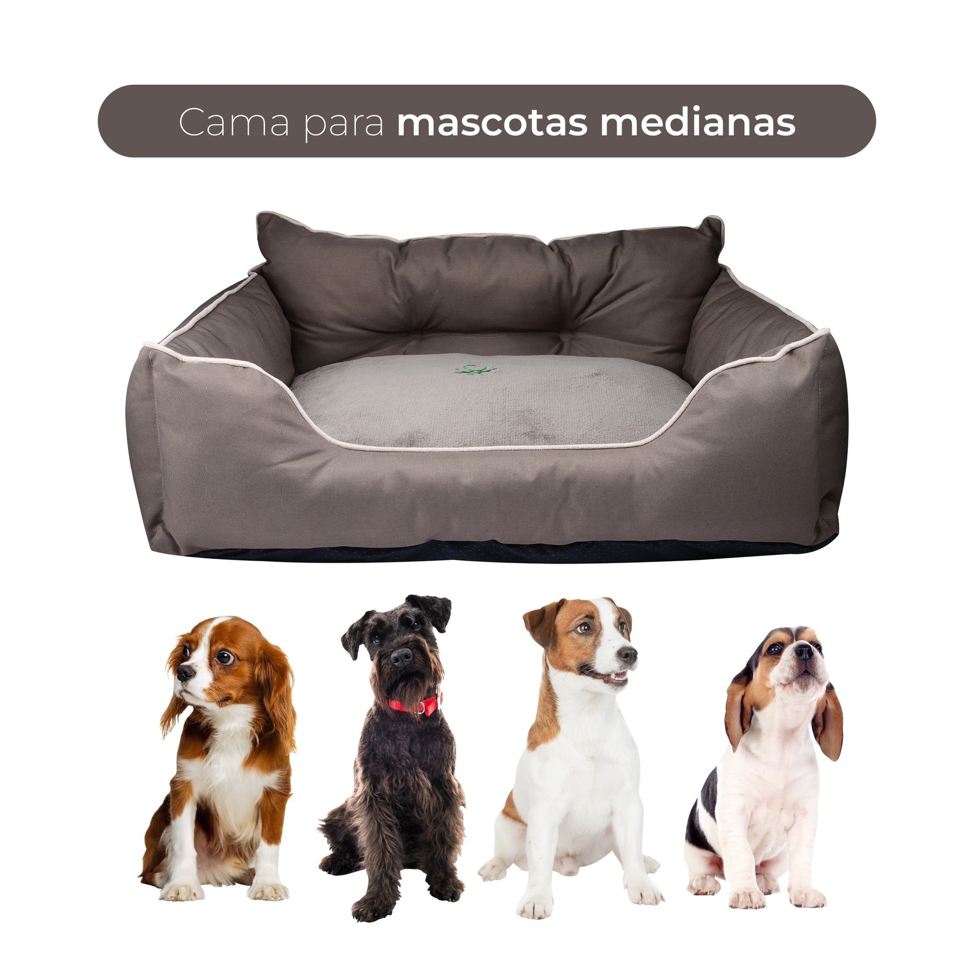 Cama Para Mascota 65x50x20cm Marrón + Comedero Doble De Acero En Bambú_3