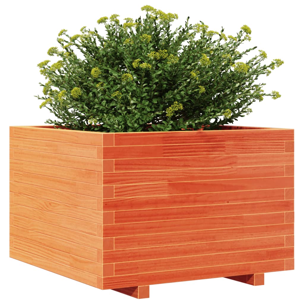 Jardinera Madera Maciza De Pino Marrón Cera 70x70x49,5 Cm_3