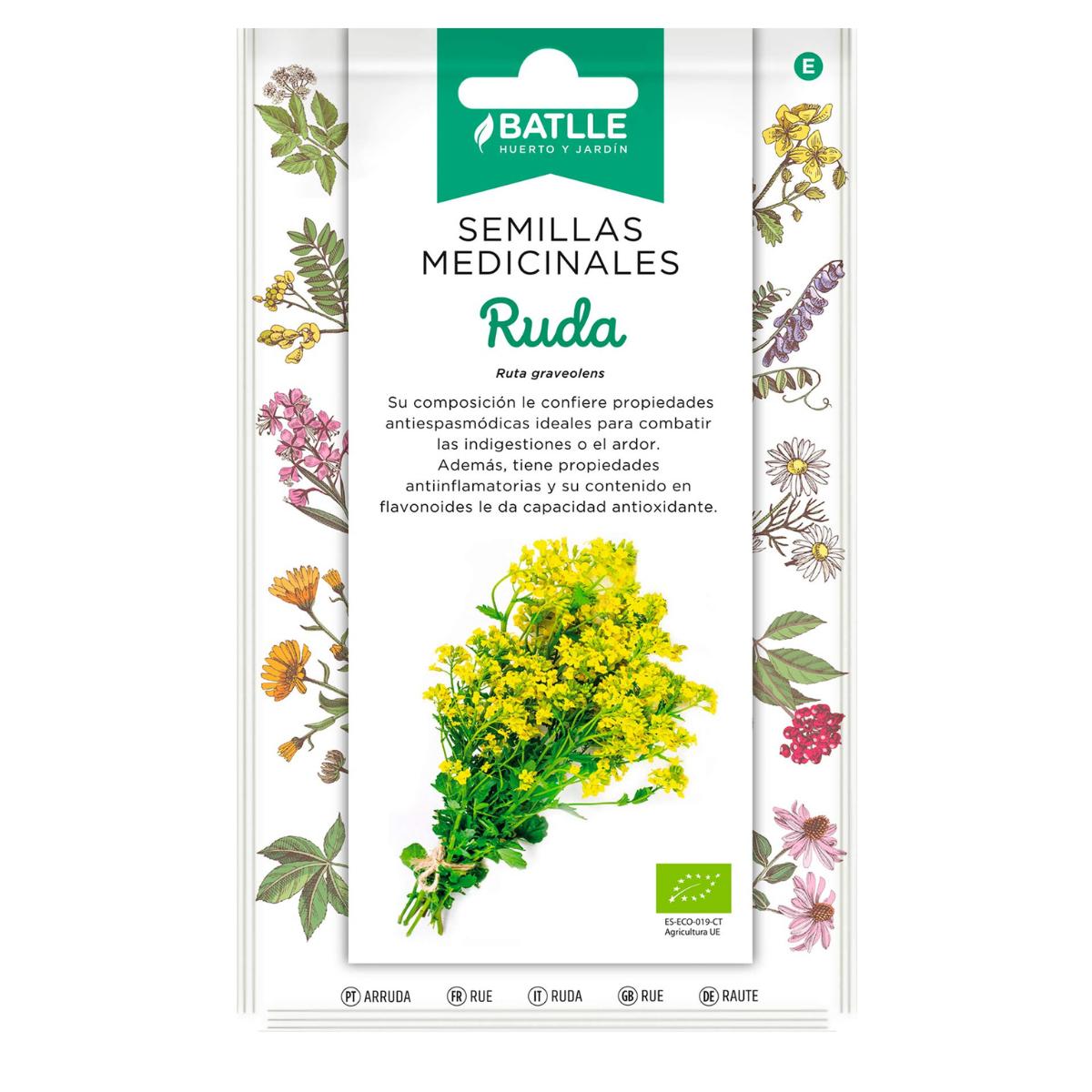 Sementes medicinais biológicas de Ruda Batlle