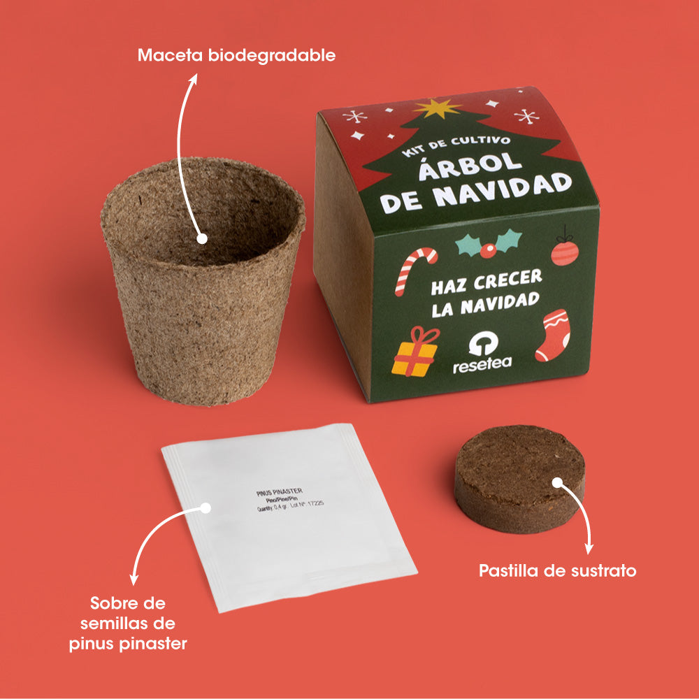 Kit Árbol De Navidad – Cultiva Tu Propio Pino De Navidad En Casa, Regalo Original - Resetea_1