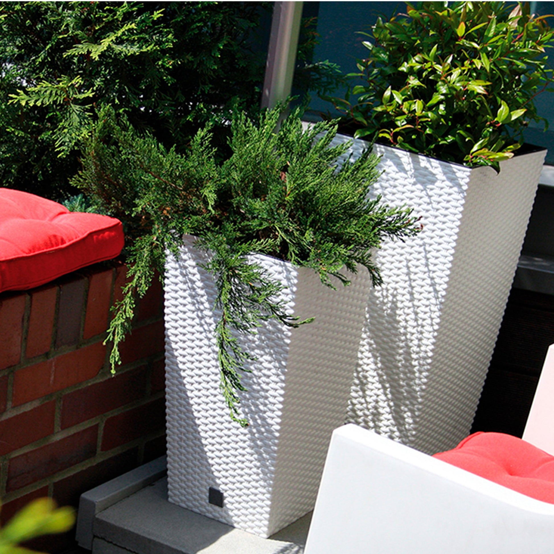 Maceta Alta Cuadrada 19 L Prosperplast Rato Square  De Plástico Con Depósito En Color Antracita, 45 (alto) X 24 (ancho) X 24 (profundo) Cms