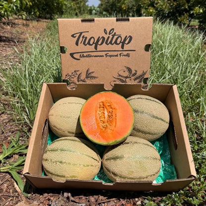 Caja De Melón Cantalupo Tropitop Caja De 3 Unidades (aprox. 4,5 Kg)_1