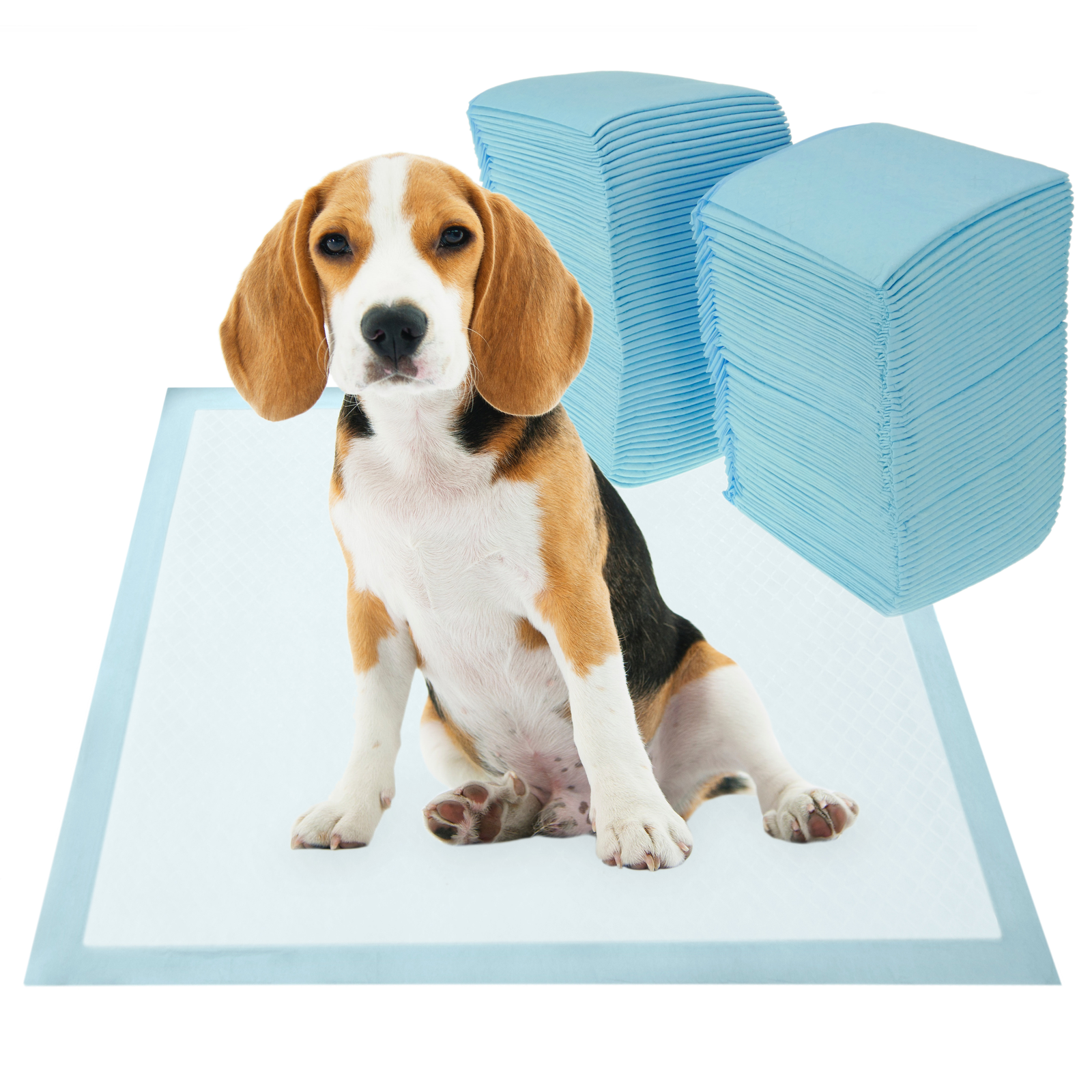 100 Empapadores Absorbentes De 33 X 45 Cm. Toallas De Entrenamiento Para Perros Cachorros_1