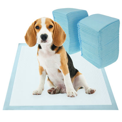 100 Empapadores Absorbentes De 33 X 45 Cm. Toallas De Entrenamiento Para Perros Cachorros_1