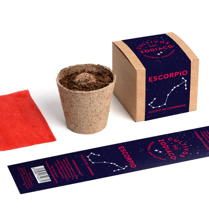 Cultivos del Zodiaco – Escorpio, Kit de Cultivo con Semillas de Canónigos - Resetea_3