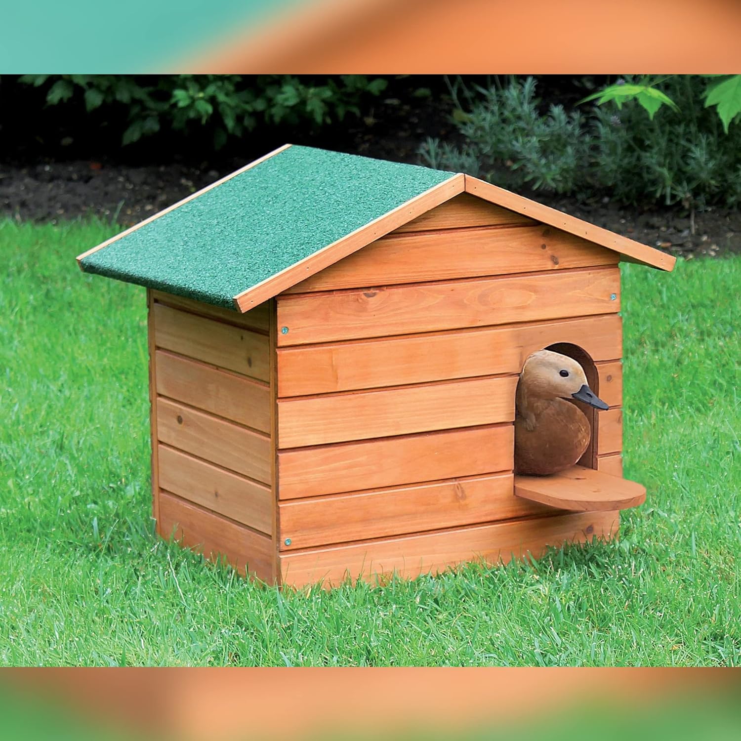 Caseta De Madera Para Patos - Nido Para Patos Grande_1