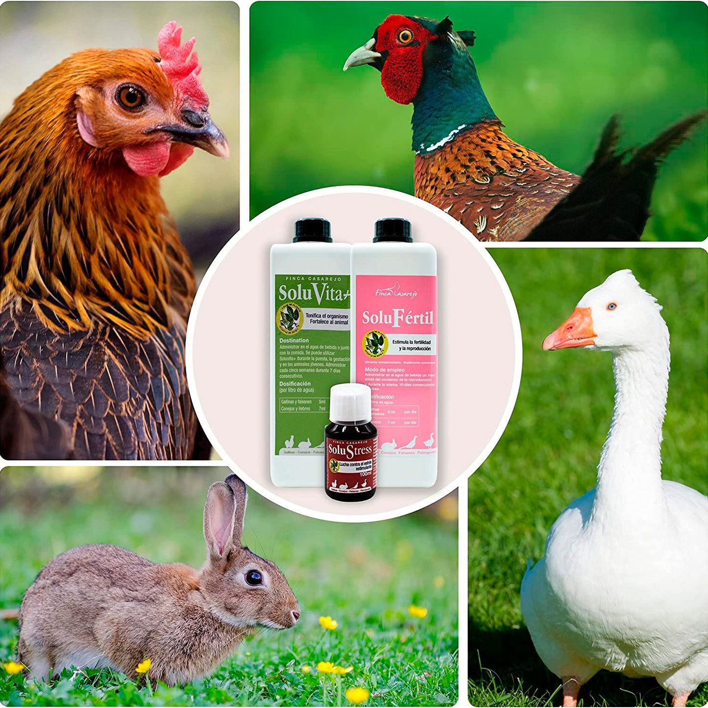 Estimula La Fertilidad De Las Aves De Corral - Productos Naturales Para Cría De Gallinas, Patos Y Otras Aves -1l_4