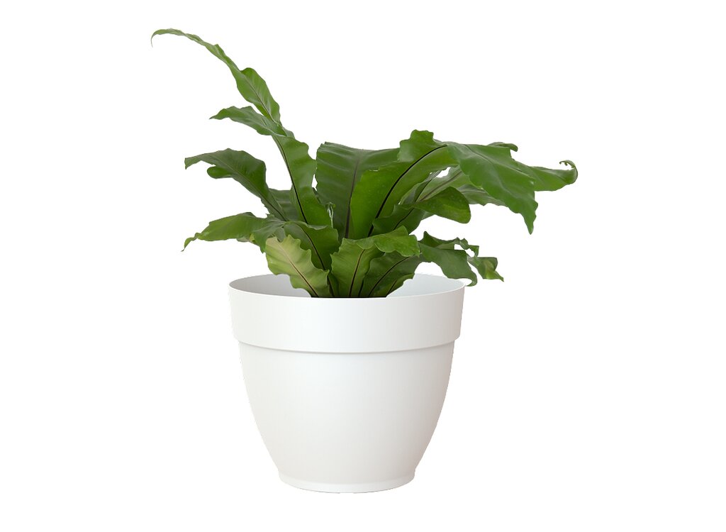 Artevasi Macetero Plástico Capri Campana Blanco 25cm_1