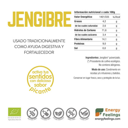 Gengibre em pó orgânico Energy Feelings 1 kg