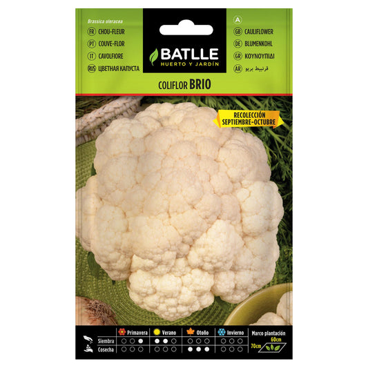 Sementes de couve-flor Brio Sel. Urgelba Batlle