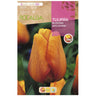 Bulbo de Tulipa Corada Apeldoorn amarelo vermelho listrado 5 unidades Rocalba