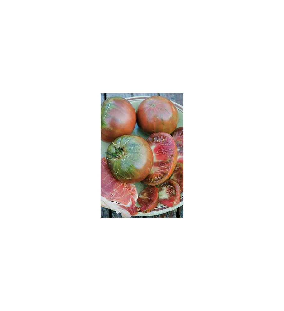 Plantón Tomate Negro (10 Unidades)_1