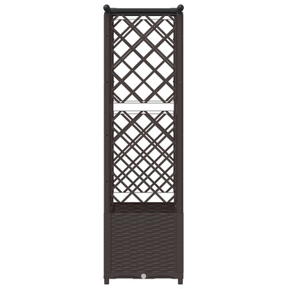Cama Elevada Con Trellis Y Techo Marrón 124,5 X 40 X 136 Cm Pp_4