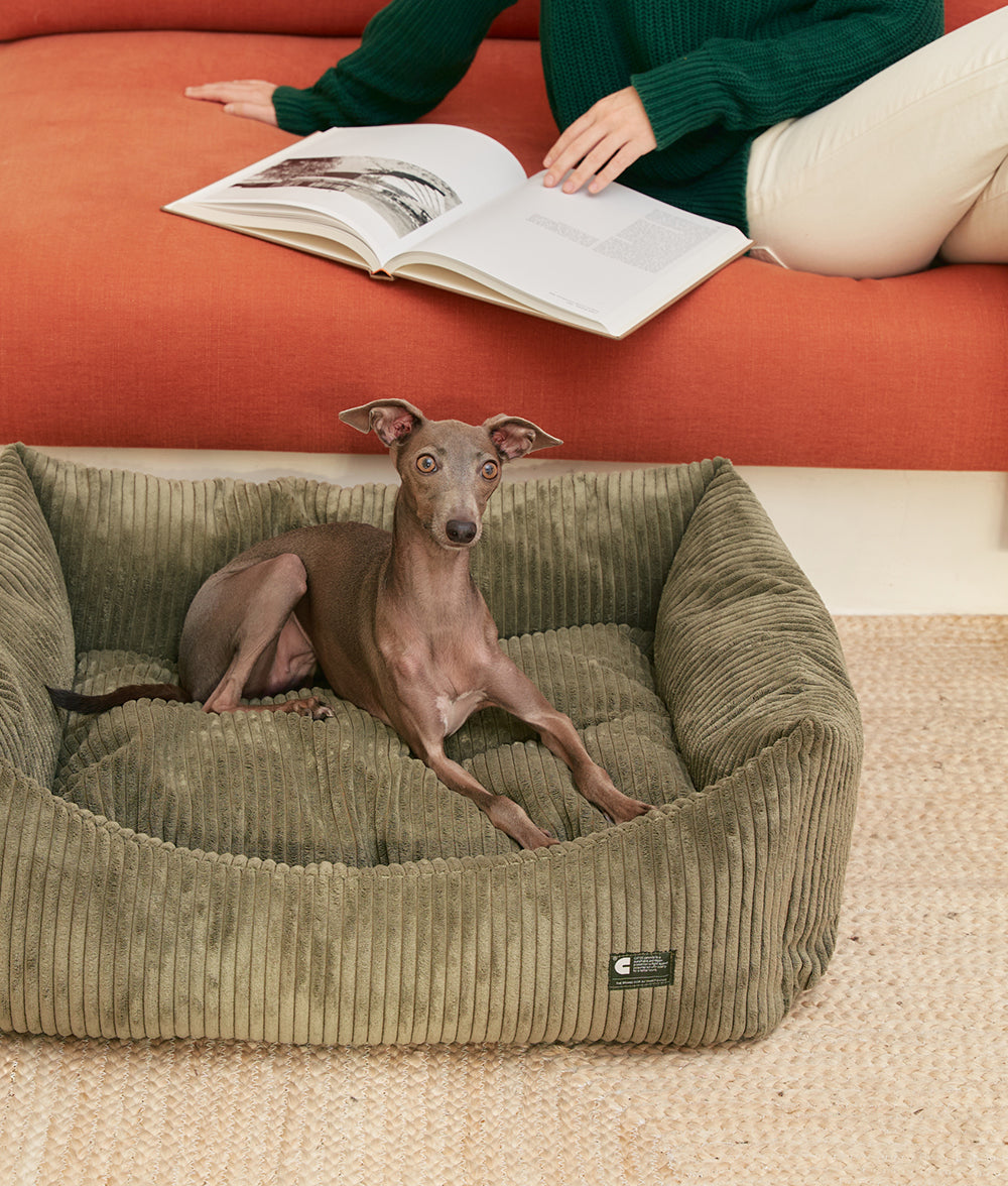 Cafide Cama De Material Reciclado Para Perro Con Tejido De Pana Verde. Modelo Snozy._3