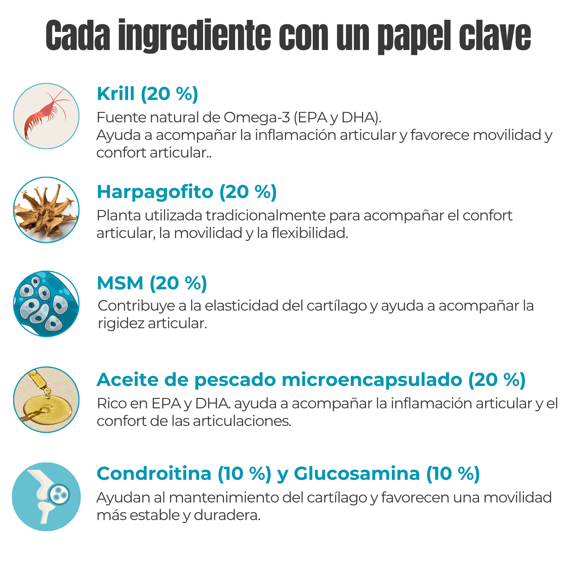 Suplemento natural para la movilidad articular de perros y gatos – Condroprotector 100 g_3