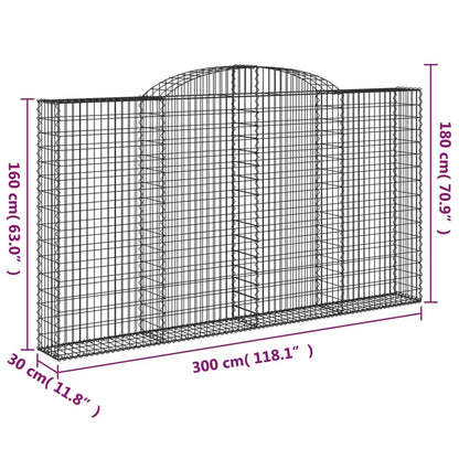 Cestas De Gaviones 2 Uds Forma De Arco Hierro 300x30x160/180 Cm_5