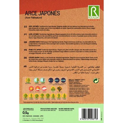 Sementes de bordo japonês Acer palmatum