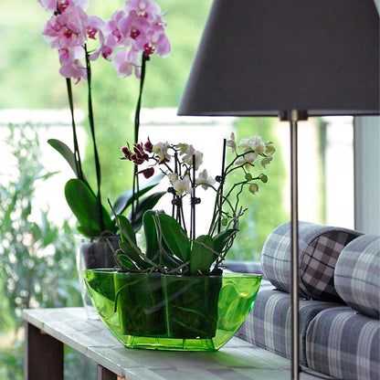 Maceta Coubi Orchid 1l., Dimensiones (mm) 198x130x102, Color Transparente