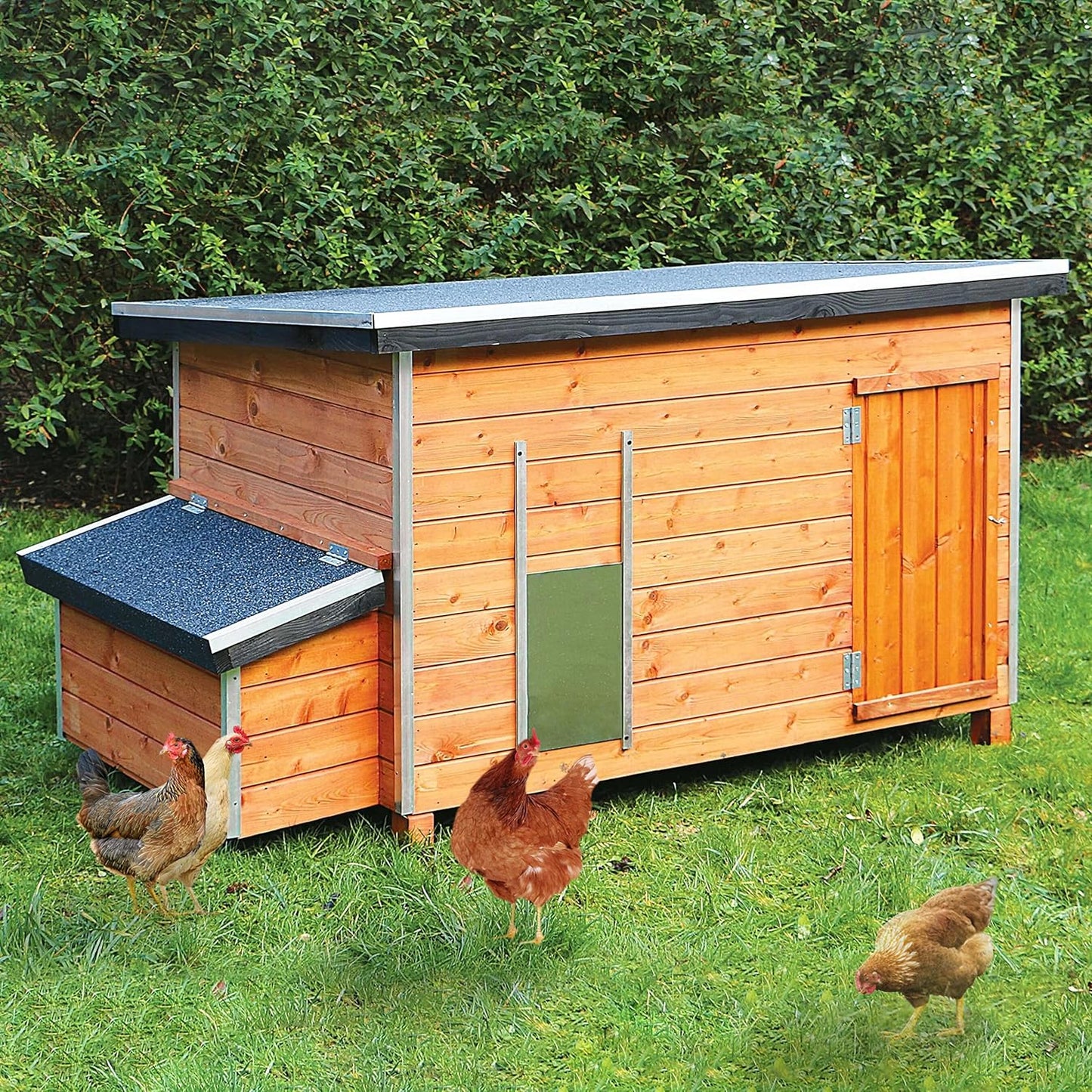 Gallinero Vosges - Fabricación Europea Muy Robusto_0