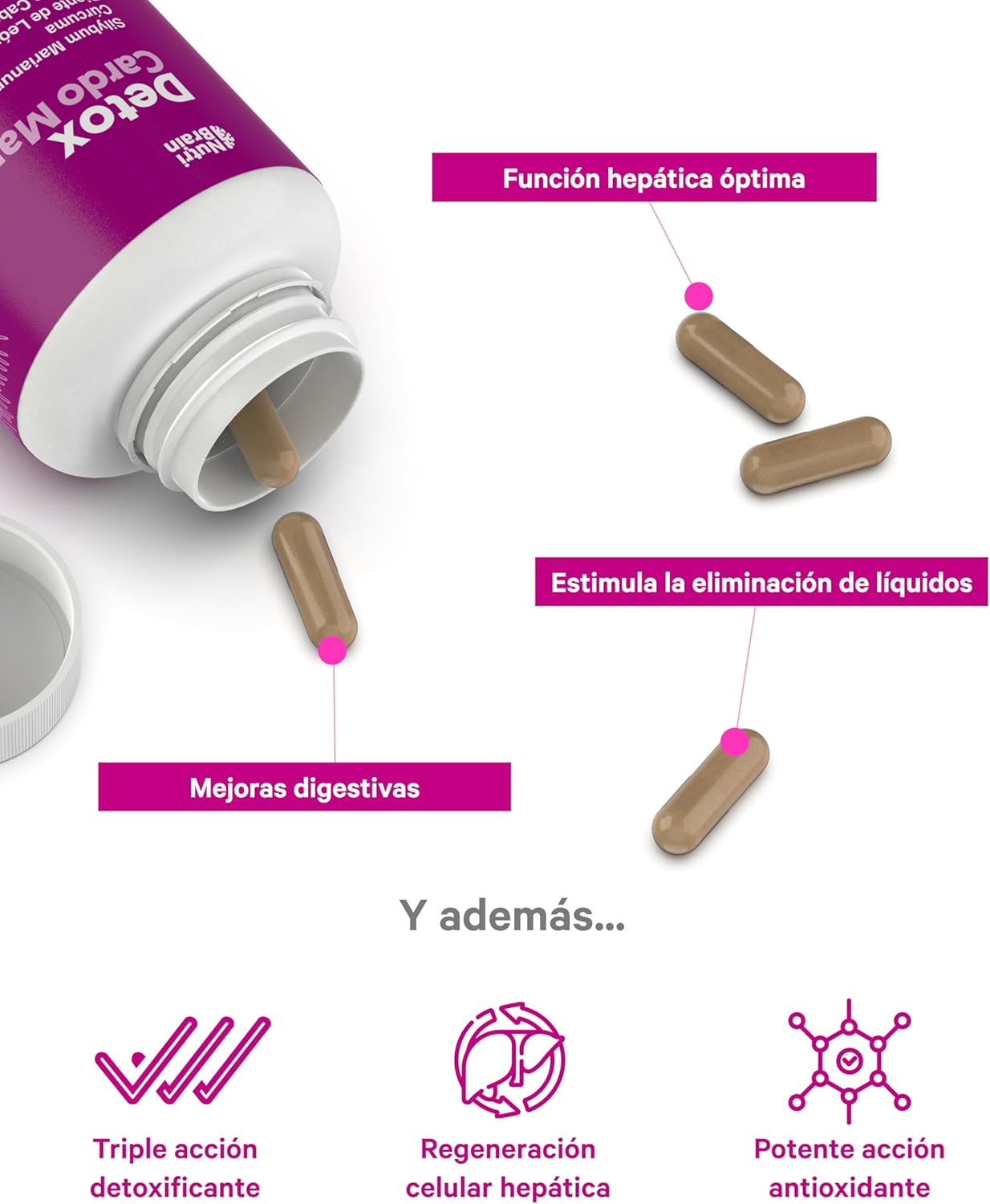 Detox Cardo Mariano Depuración Hepática Nutribrain 155 Cápsulas_3