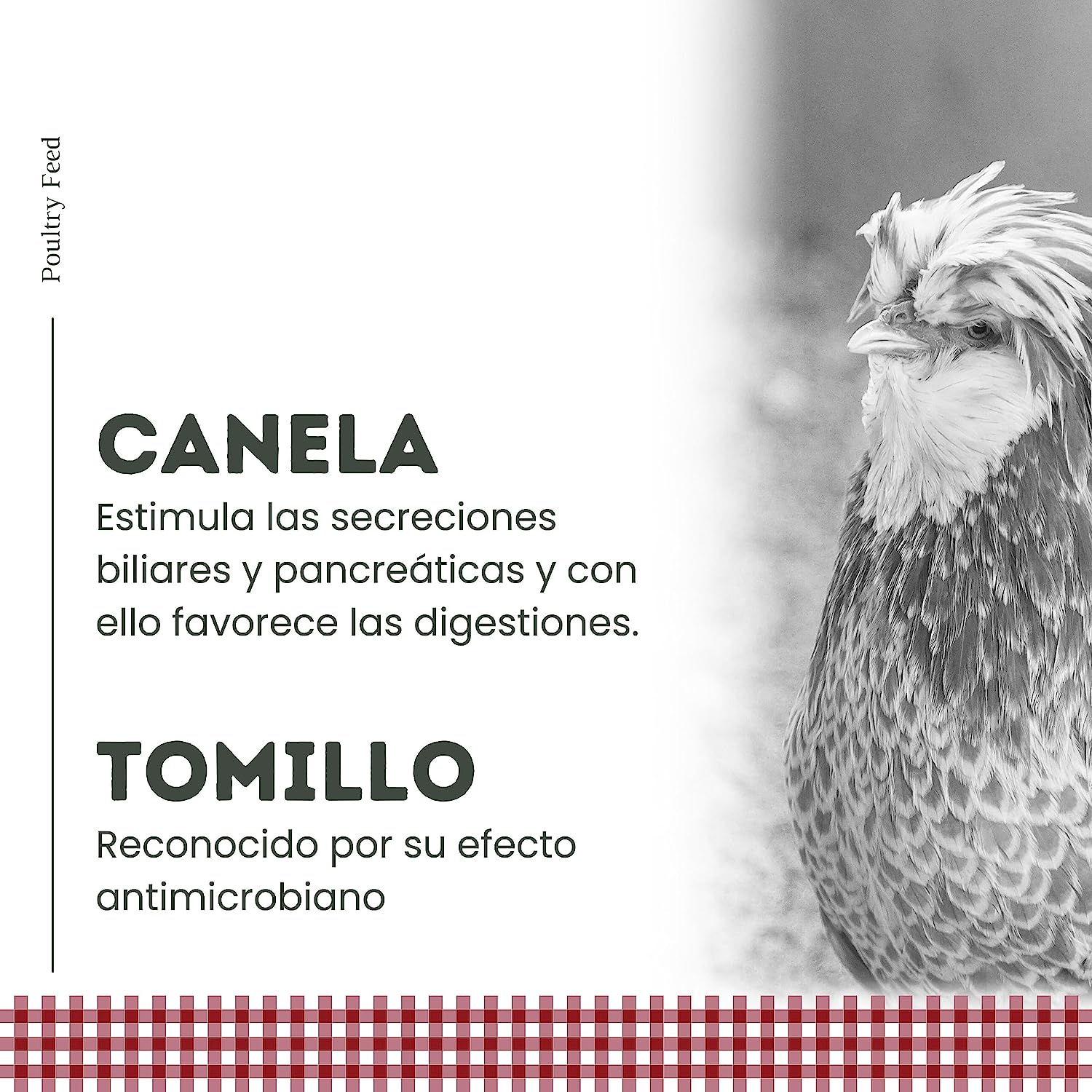 Pienso De Recría Poultry Feed_4