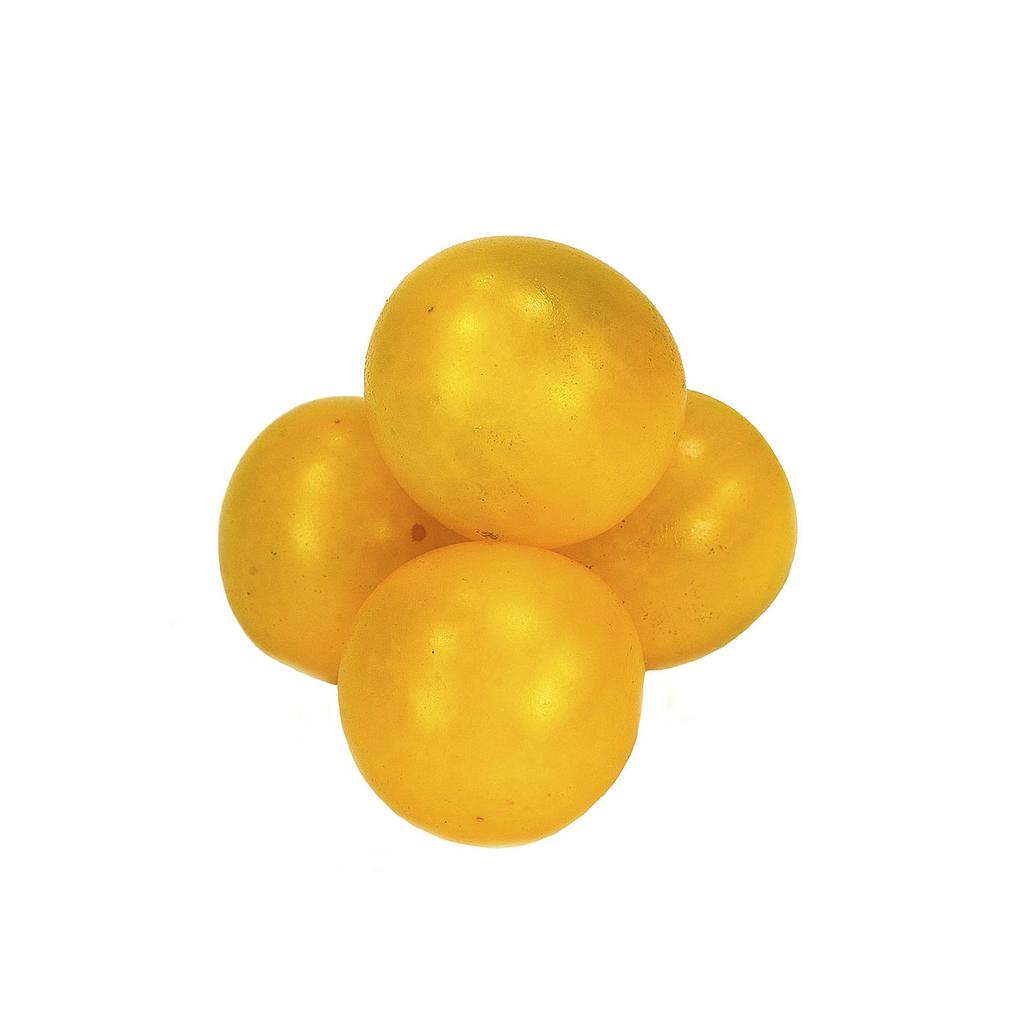 Tomate Cherry Amarillo M13 (solanum Lycopersicum)_0