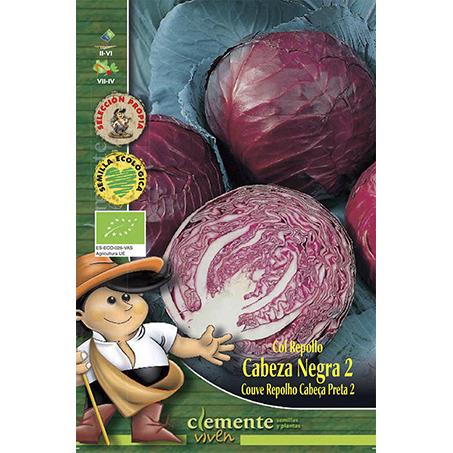 Sementes orgânicas de couve roxa com cravo 2