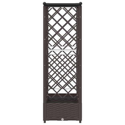 Cama Elevada Con Trellis Y Techo Marrón 164 X 40 X 121 Cm Pp_4