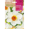 Bulbo de trombeta Narciso Sempre Avanti branco laranja 5 peças Rocalba