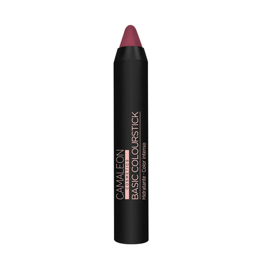 Pintalabios  Nude Marrón Basic Colourstick 4g Camaleon Cosmetics_0