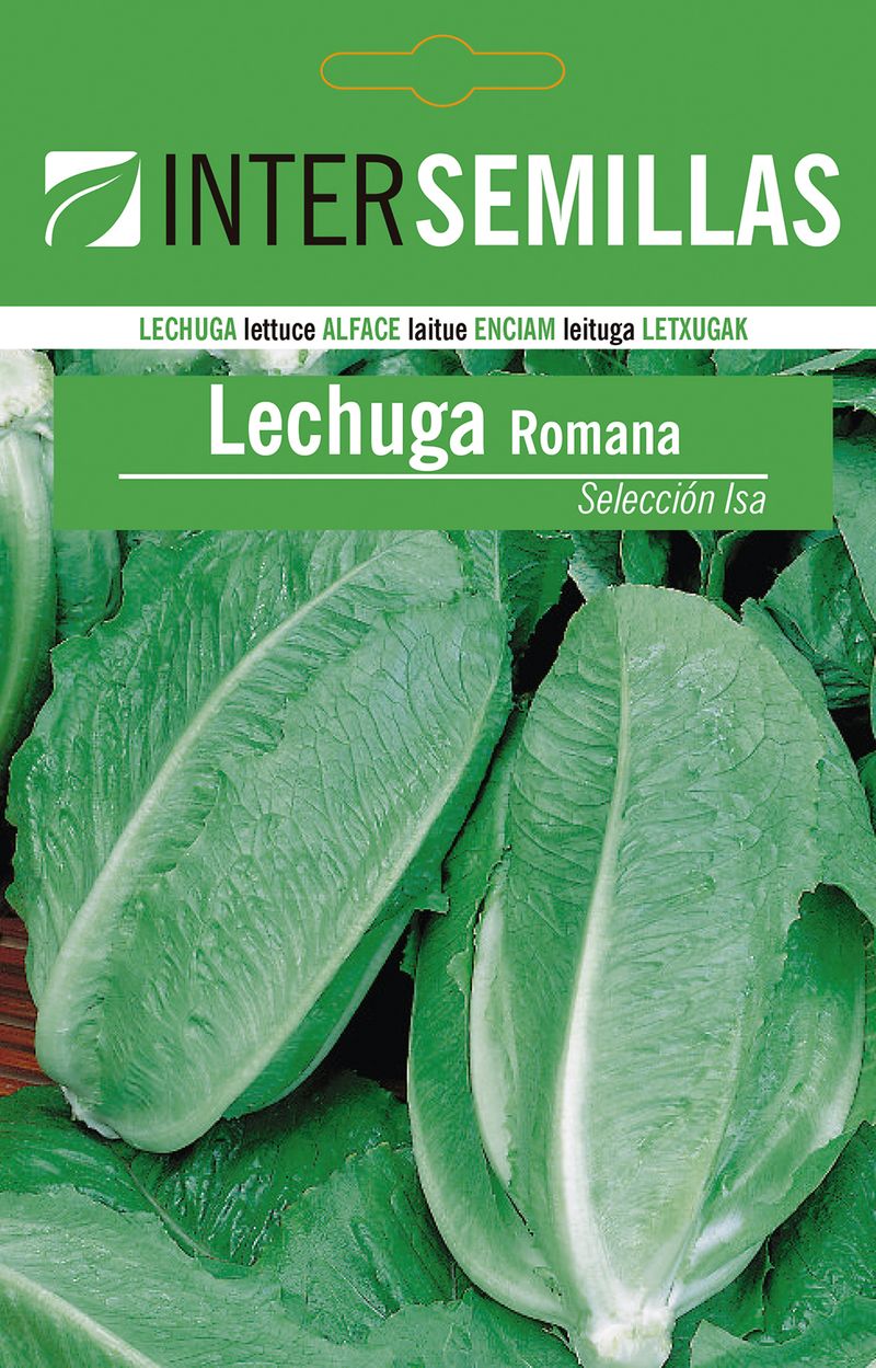 Sobre De Semillas De Lechuga Romana_0