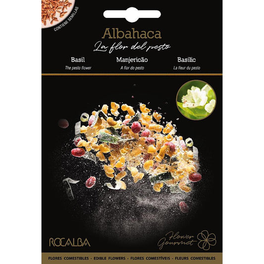 Sementes de flores comestíveis de manjericão Rocalba