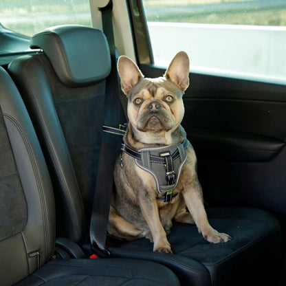 Kerbl Arnés De Seguridad De Coche Para Mascotas Negro 44-55 Cm_1