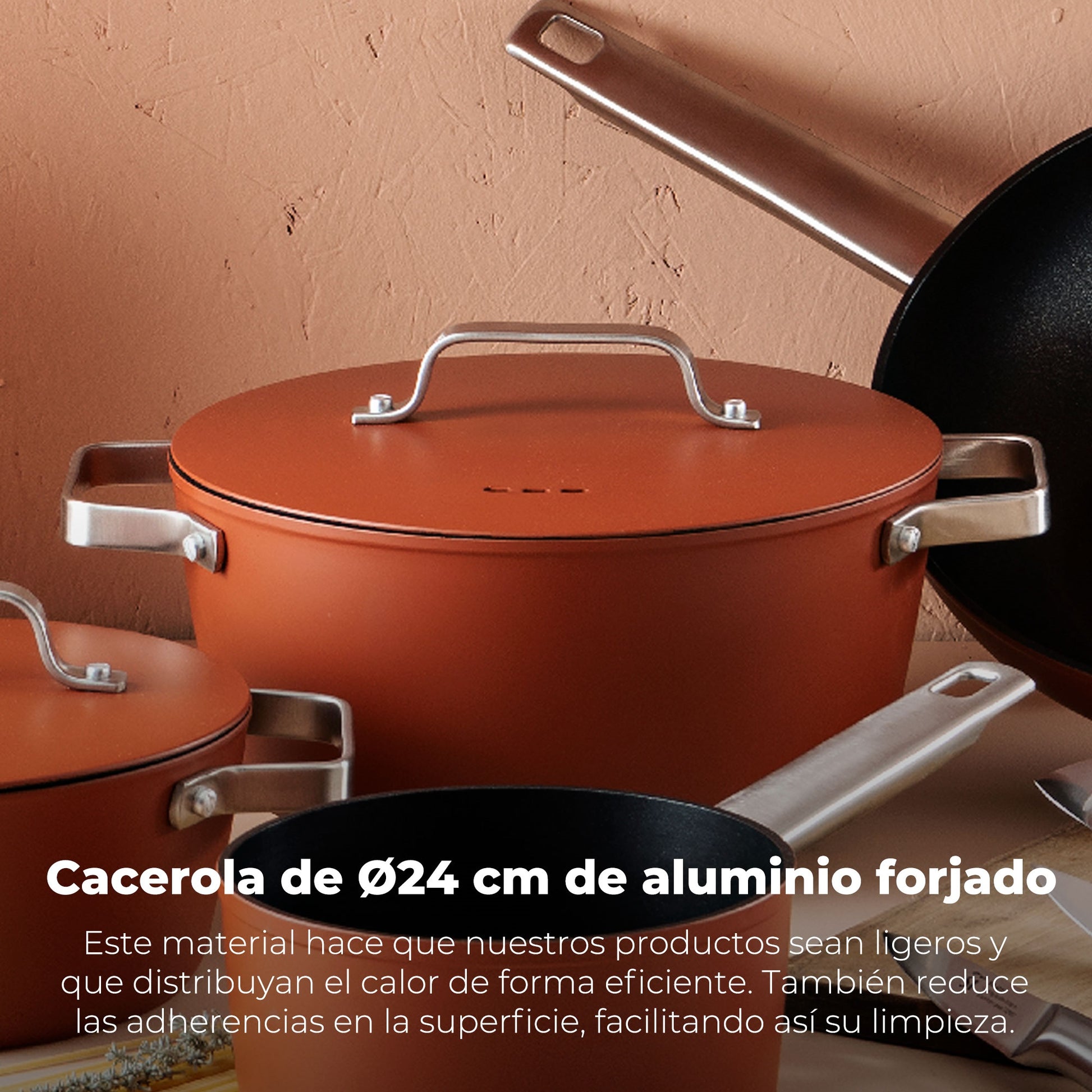 Cacerola 24x10.5cm Aluminio Forjado Ind C/tapa Agros_4