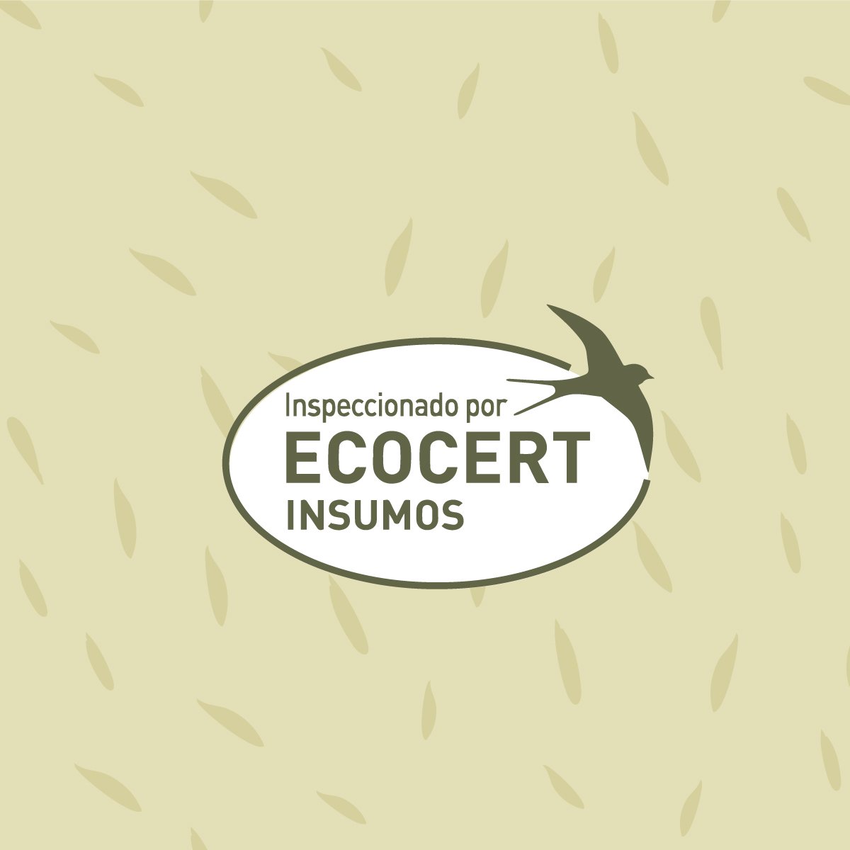 Cultivers Tierra De Diatomeas Molida 5 kg Ecológica Natural Certificada Ecocert De Algas Fosilizadas Sedimentadas…_1