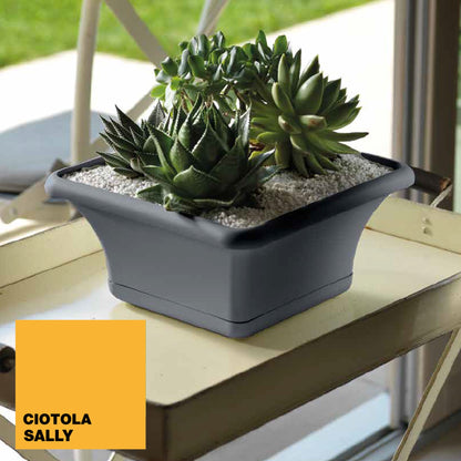 Maceta Cuadrada 24 Cm Con Platillo Terracota