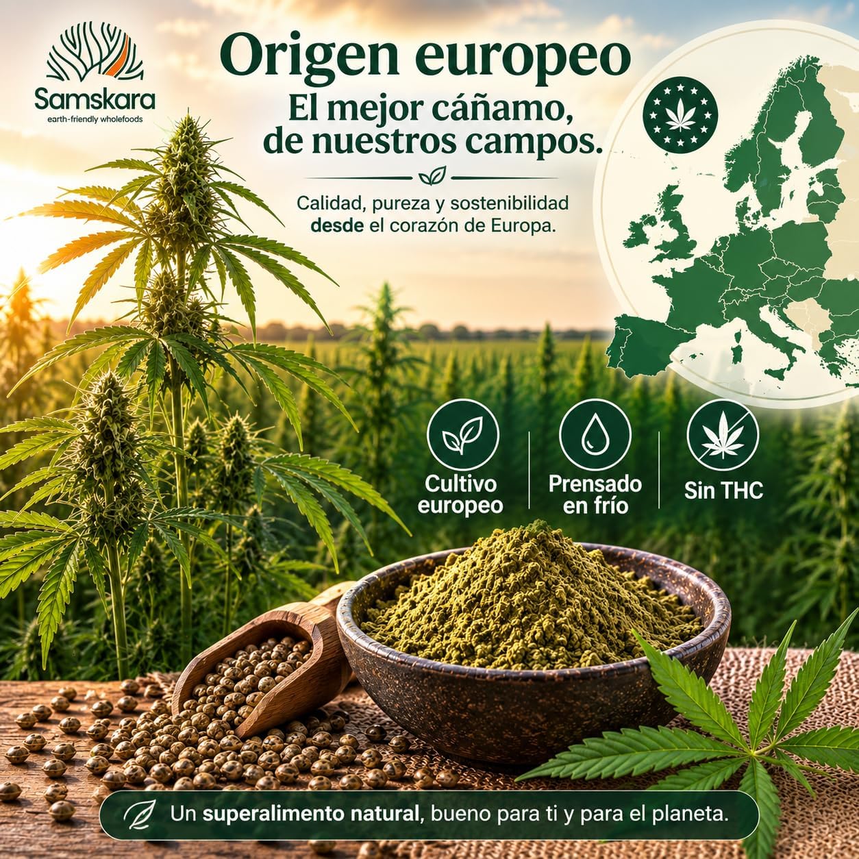 Proteína De Cáñamo Bio - 2kg | Proteína Vegetal Ecológica Vegana Para Batidos Y Repostería, Sin Azúcares Añadidos_3