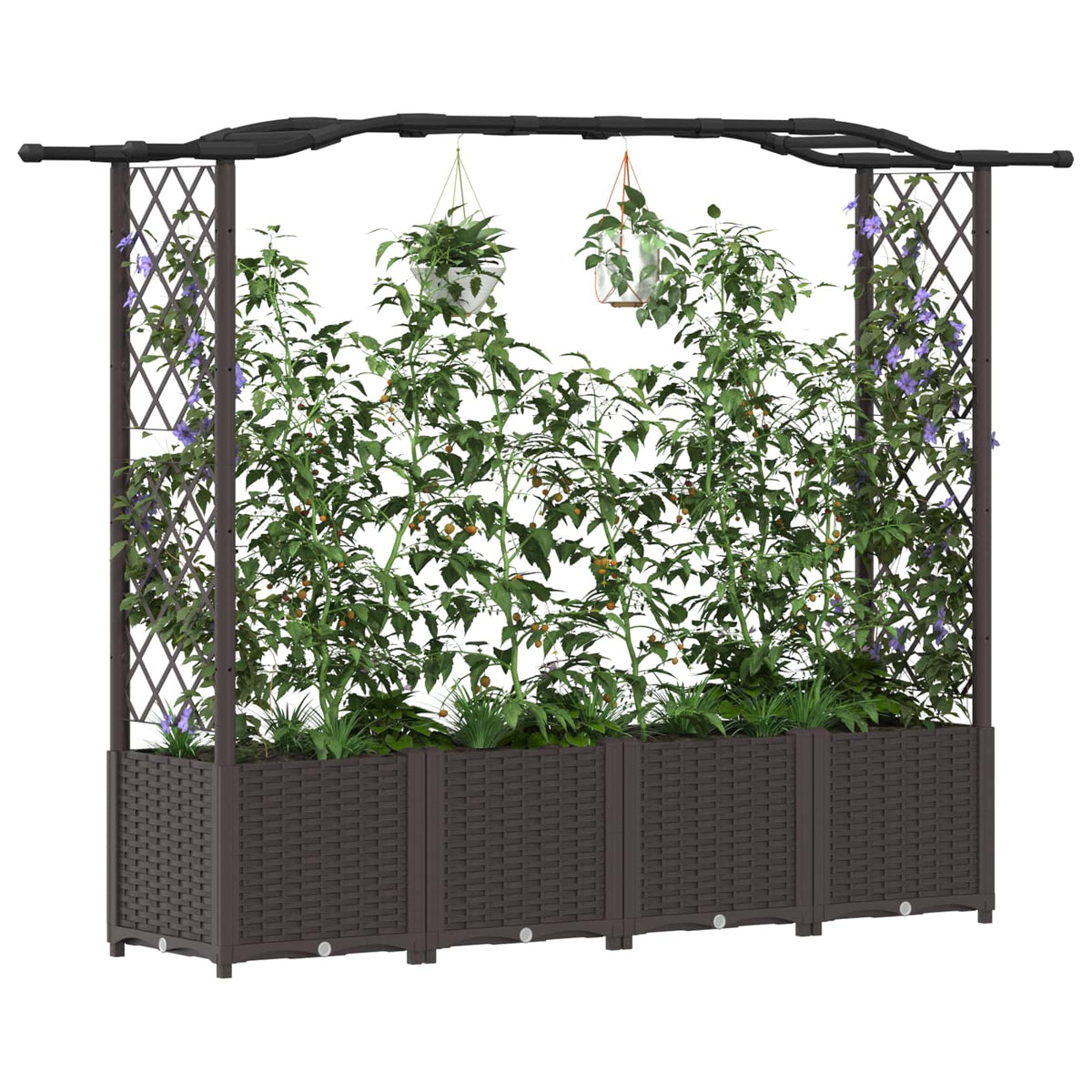 Cama Elevada Con Trellis Y Techo Marrón 204 X 40 X 138 Cm Pp_2