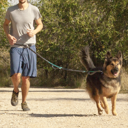 Correa Ajustable Para Perros De Jogging 160-220 Cm. Correa Manos Libres Elástica Y Reflectante Con Cinturón_2