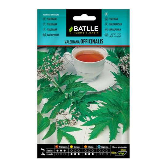 Sementes de Valeriana Batlle