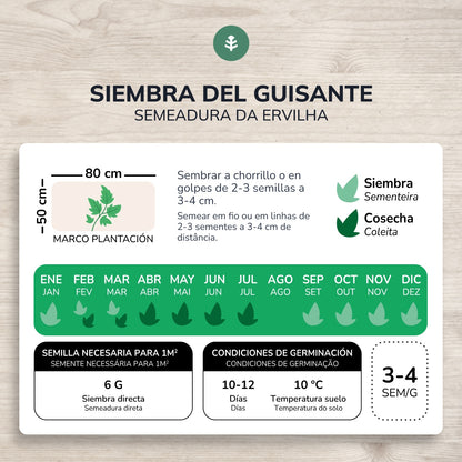 Sementes de ervilha redondas biológicas 1/2 cacho Planeta Huerto