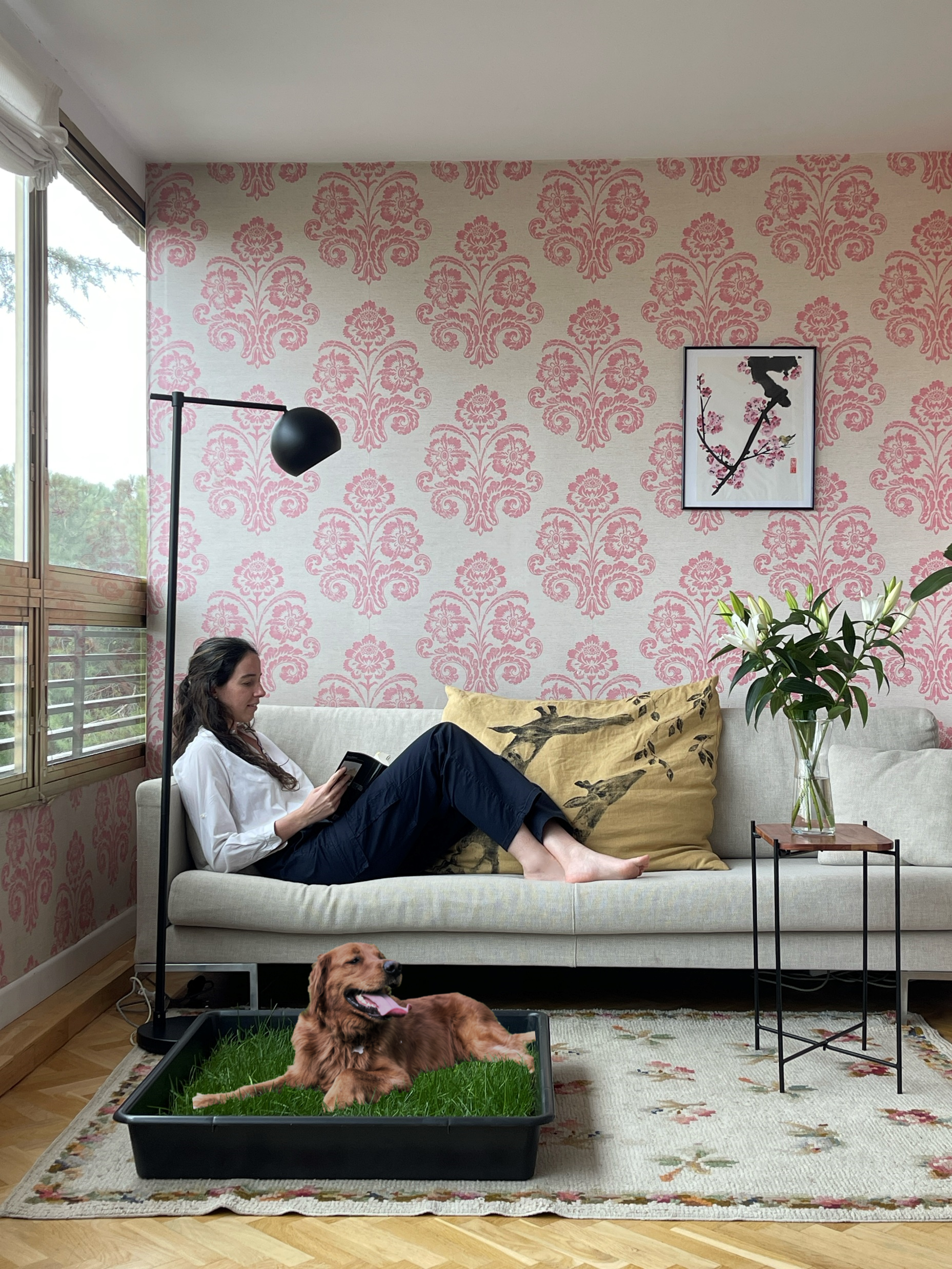 Petground, Cama Para Perros, Empapador, Alfombra Olfativa, Césped Natural, XXL_2