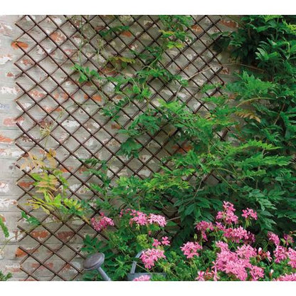 Treliça de vime extensível Nortene Trelliwillow 0,5 x 1,5 m
