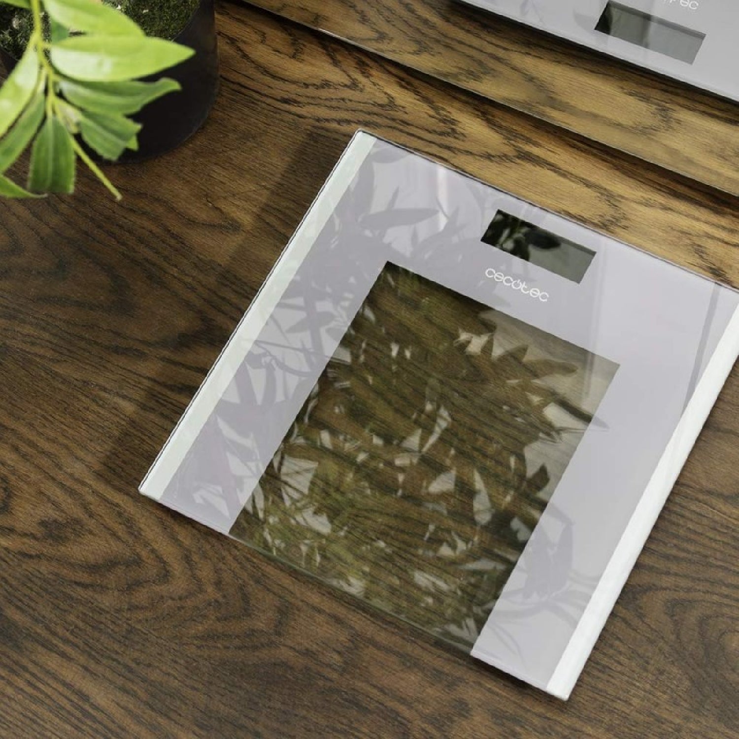 Cecotec Báscula De Baño Sin App Báscula De Baño Surface Precision Healthy (exclusivo Consum)_1